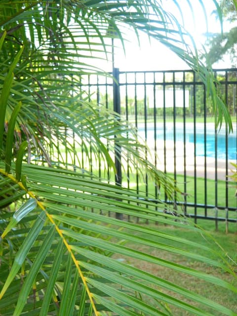 Hotel Coral Reef, Outdoor pool