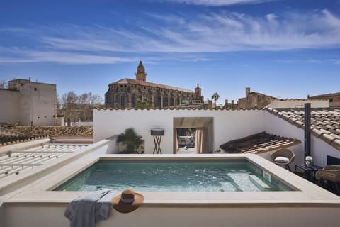 Boutique Hotel Posada Terra Santa, Rooftop pool