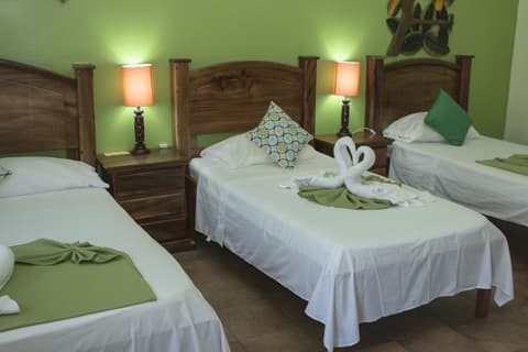 Caribbean Paradise Eco-Lodge, Room