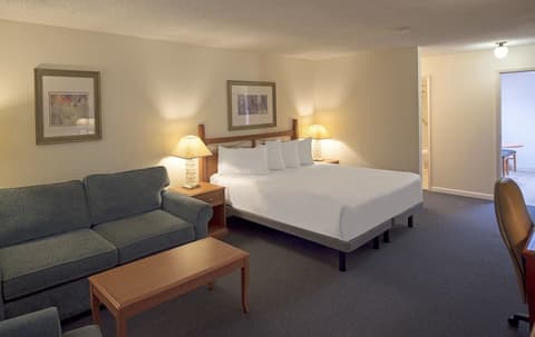 Robin Hood Inn & Suites, Room
