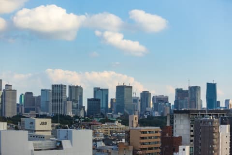 Hotel Wing International Premium Tokyo Yotsuya, Room