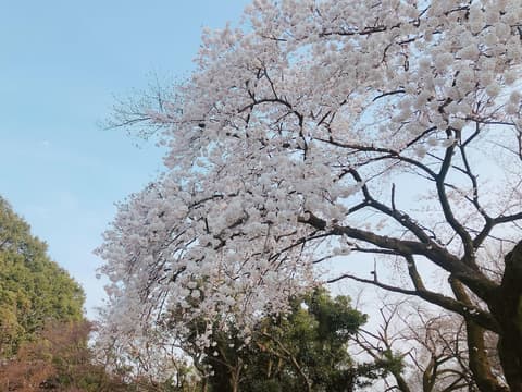 APA Hotel Shinjuku Gyoemmae, Point of interest