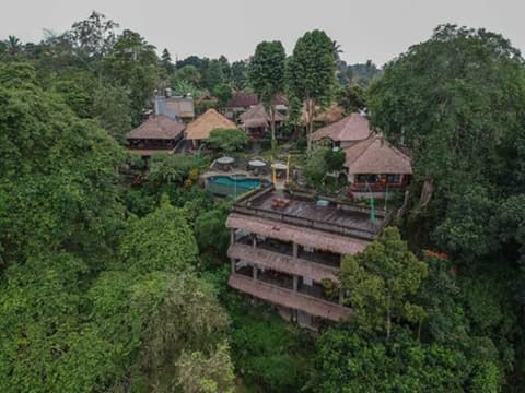 Ubud Dedari Villas, Aerial view