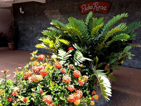 Pousada Pedra Rosa, Interior entrance