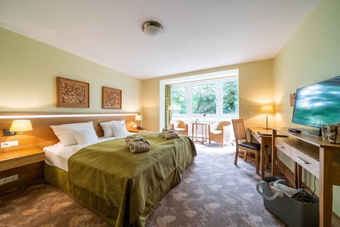 Waldhotel Tannenhäuschen, Room