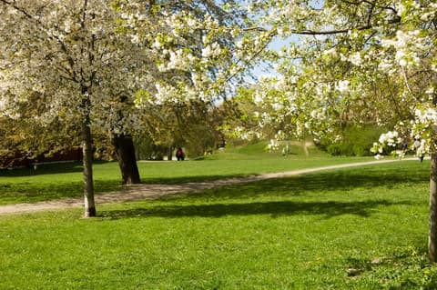 STF Zinkensdamm Hostel, Exterior