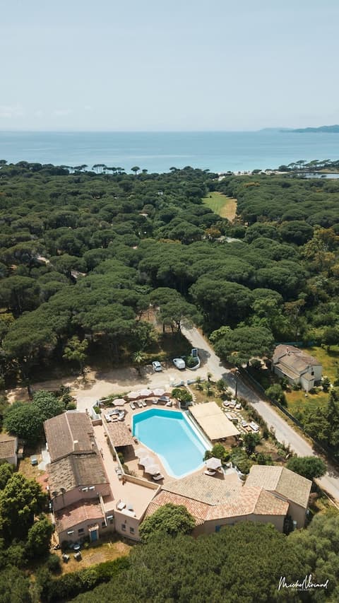 Hotel Palombaggia, Reception