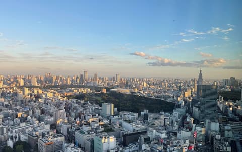 HOTEL GROOVE SHINJUKU, A PARKROYAL Hotel, City view