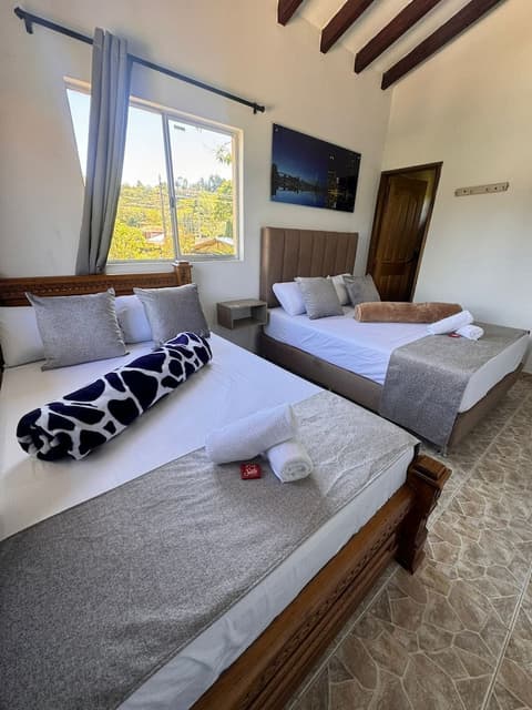 finca hotel zona franca, Room