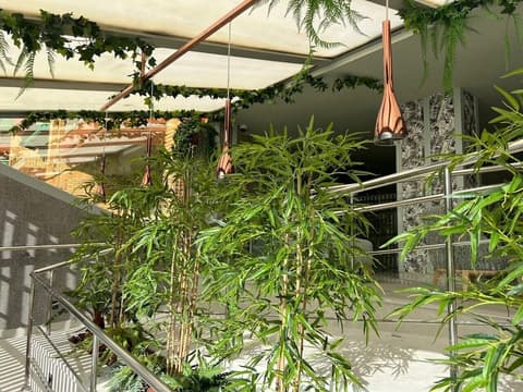 Hotel Noy, Reception