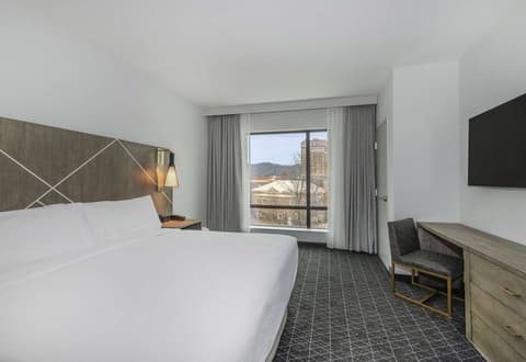 Embassy Suites By Hilton Asheville Downtown, Room