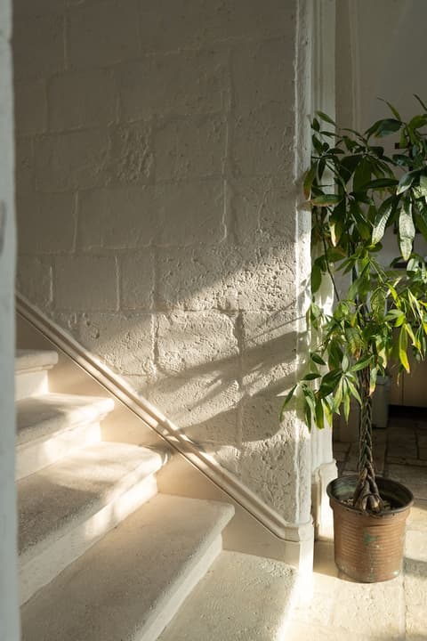 Al Palazzo La Dimora, Reception