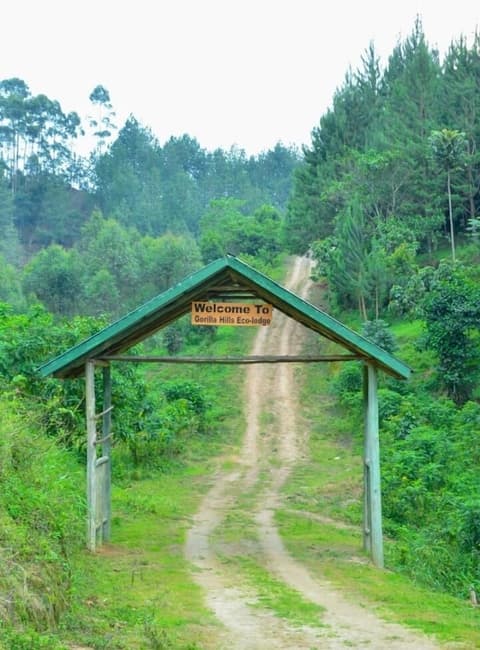Gorilla Hills Eco Lodge, Front of property