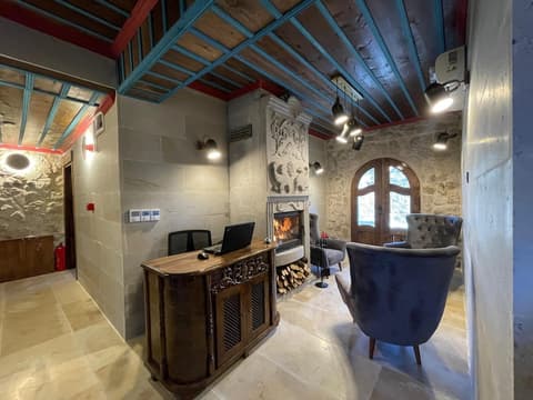 LEDA STONE HOUSE, Reception