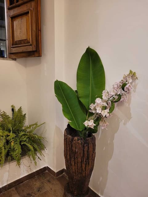 Pelourinho Boutique Hotel - OH HOTÉIS, Reception