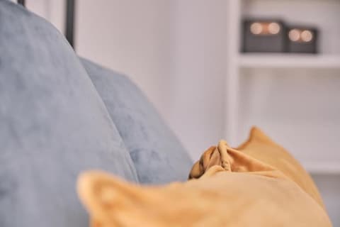 Dadá Coliving&Rooms, Room