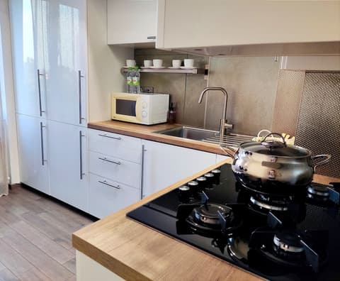 2BR&LIVING center city CHISINAU, Private kitchen
