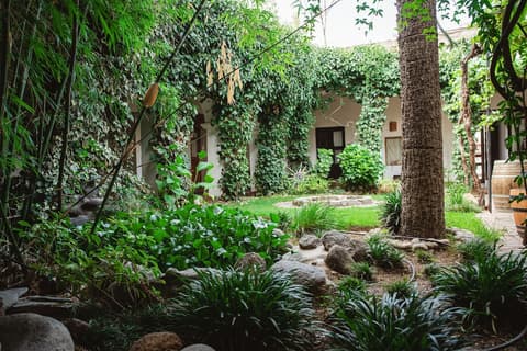 VIEJA POSADA HOTEL HISTORICO, Terrace/patio