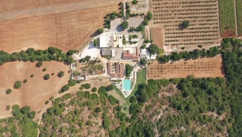 Masseria Paretano, Winery