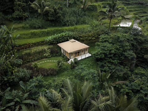 Nadi Nature Resort - Adults Only, Room