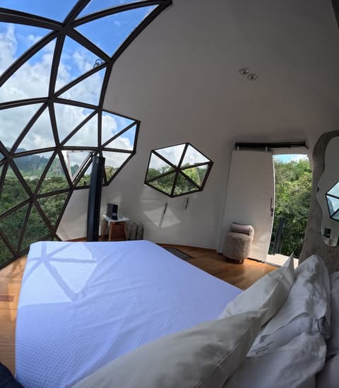 Bosque Geométrico, Room