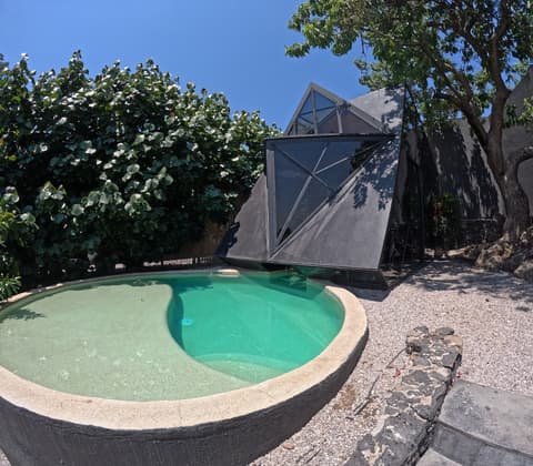 Bosque Geométrico, Room