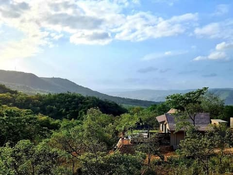 The Zarafa, Exterior