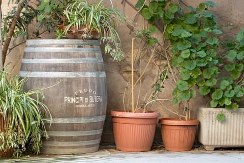 Residence Ortigia, Exterior