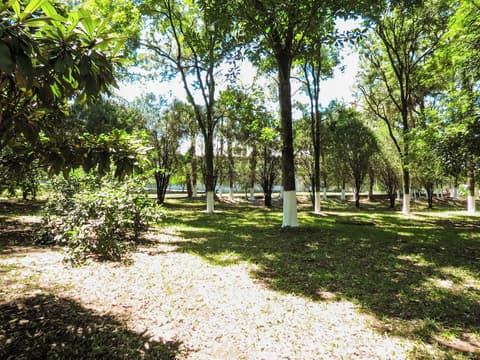 Hotel Monalisa, Garden