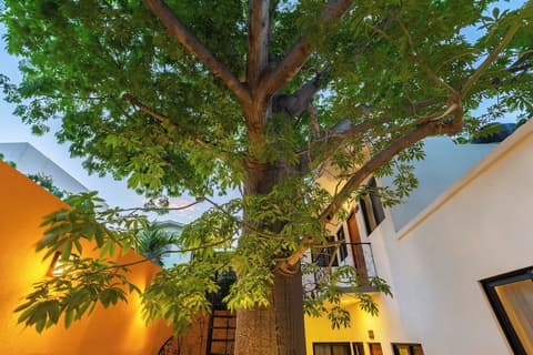 Casa Madero La Paz, Terrace/patio