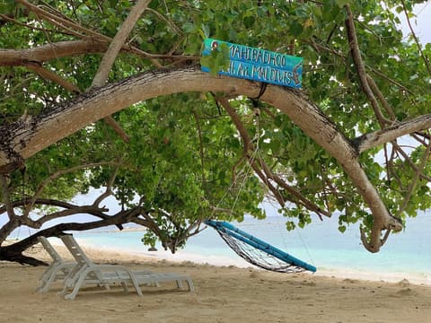 Dhamana Beach, Beach