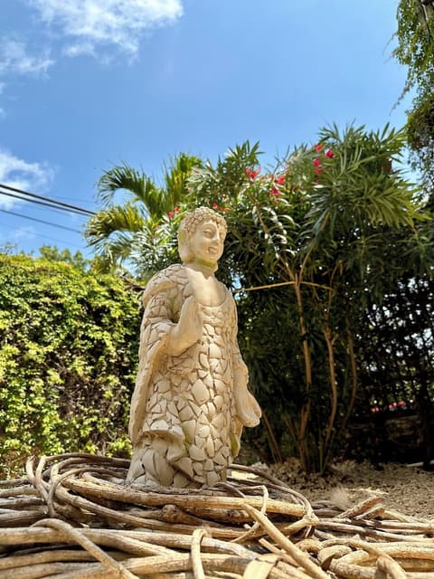 Pachamaya Holistic Wellness & Spa, Living area