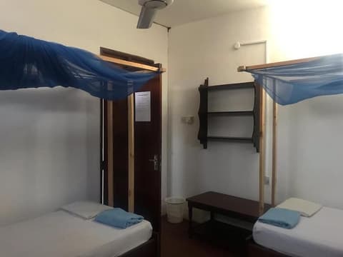 Flamingo Guest House, Room