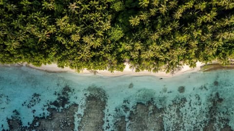 Whaleshark Beach, Land view from property