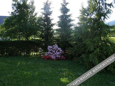 Pension Bled BB&Hostel, 