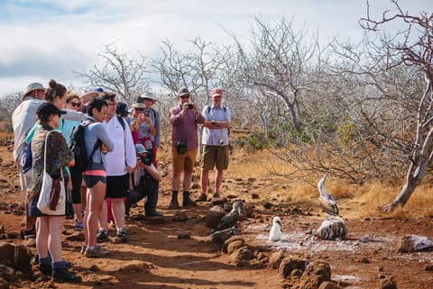 Galapagos Adventure: Northern Islands (Grand Daphne)
