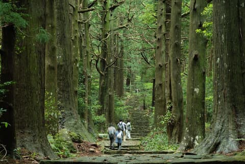 Japan: Koya-san & Kumano Kodo Trek
