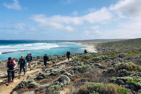 Kangaroo Island Short Break Adventure