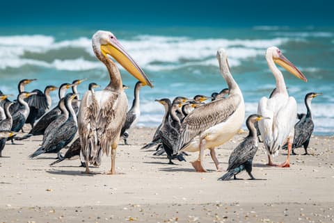 Senegal & The Gambia Adventure