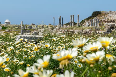 Sail Turkey: Bodrum to Fethiye (Turkish Gulet)