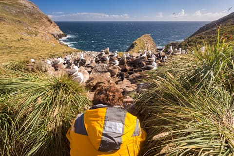 Falklands, South Georgia and Antarctica: Explorers and Kings