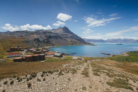 South Georgia and Antarctic Peninsula: Penguin Safari