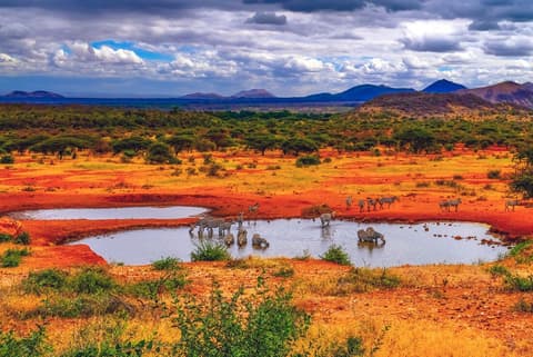 Kenya by Rail: Trains, Safaris & Beaches