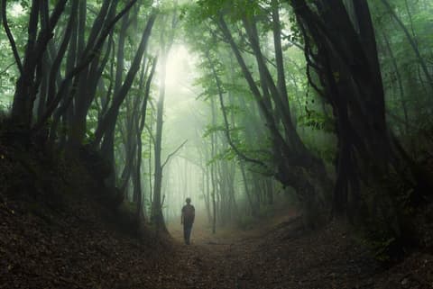 Hiking in Romania: Via Transilvanica Trail