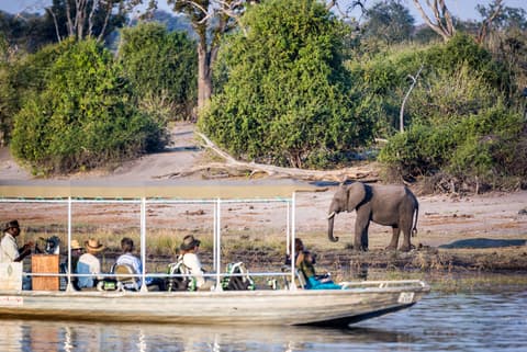 Botswana Family Safari Comfort