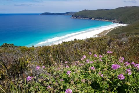 Hike the Bibbulmun Track: Albany to Denmark
