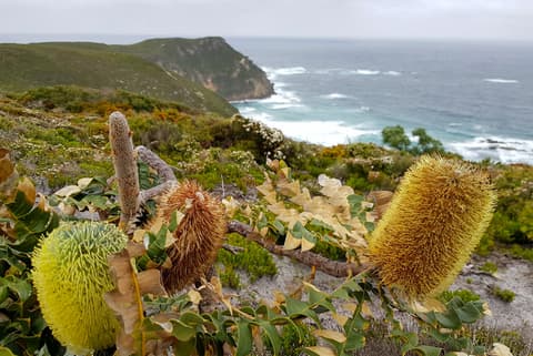 Hike the Bibbulmun Track: Walpole to Denmark