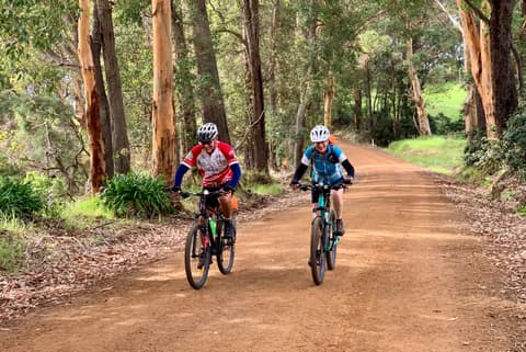 Cycle the Munda Biddi Trail: Walpole to Manjimup