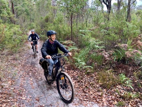 Cycle the Munda Biddi Trail: Walpole to Manjimup