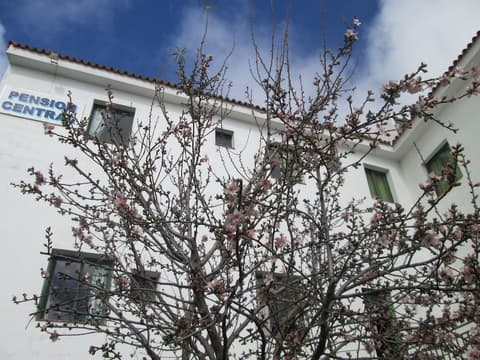 La Palma Hostel - Pensión Central, 